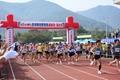 제5회 청도 반시 전국 마라톤 대회 썸네일 이미지